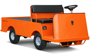 Taylor-Dunn Utility Vehicle