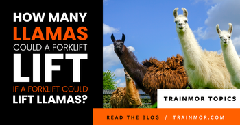 How many llamas could a forklift lift if a forklift could lift llamas?