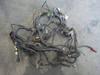 Caterpillar Used Main Harness photo